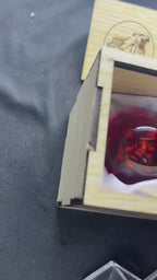 Gao Crystal Set Red Animal l Power animal | Gao Ranger | Power Rangers Wild Force | Super Sentai |  Power Ranger